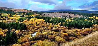 Anaconda Road to Anaconda